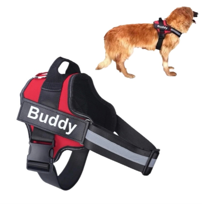 犬用ハーネス