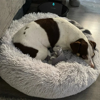 pet cushion bed