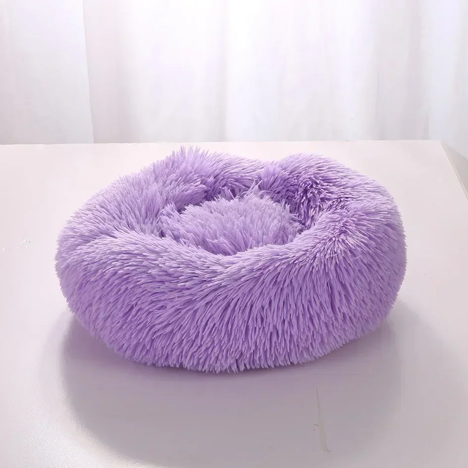 pet cushion bed