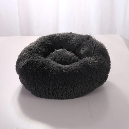 pet cushion bed