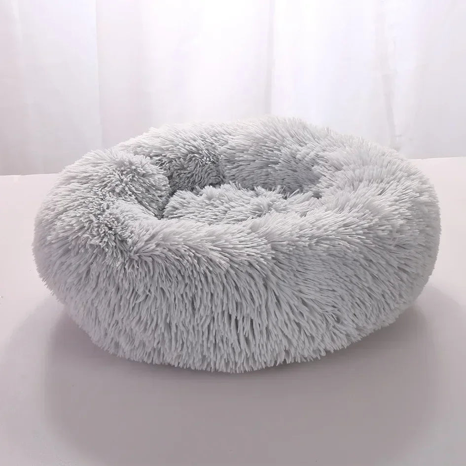 pet cushion bed