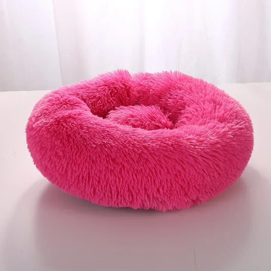 pet cushion bed