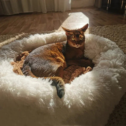 pet cushion bed